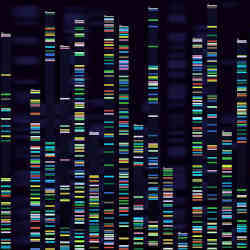 Genetic sequencing data. 