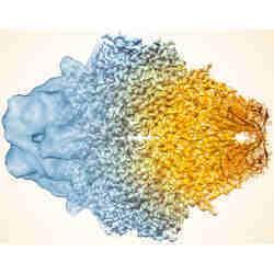 A composite image of the enzyme lactase showing how cryo-EMs resolution has improved dramatically in recent years. 