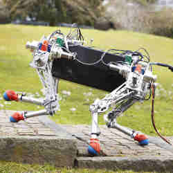 A quadruped robot. 