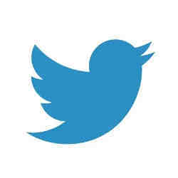 A Twitter logo.