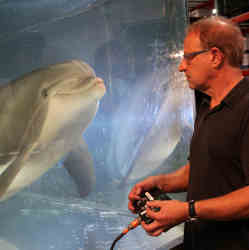 Edge CEO Will Conti uses a handheld controller to direct the robot dolphin.