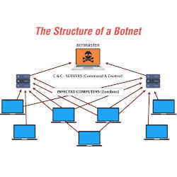 The structure of a botnet.