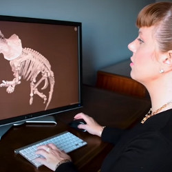 user examines dinosaur skeleton image on a screen