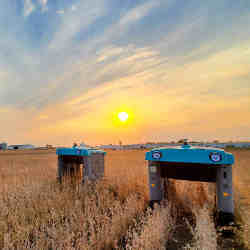 Alphabet's solar-powered electric buggies at work in the field. 