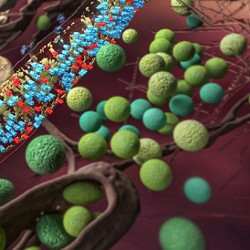 view of an inhibitory synapse in 3D, illustration