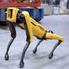 Boston Dynamics Dog Robot Learns New Tricks on BP Oil Rig