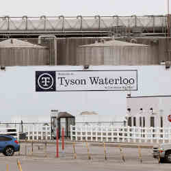 A Tyson meat-processing facility.