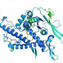 A computer model of folded protein targets studied by the DeepMind scientists.