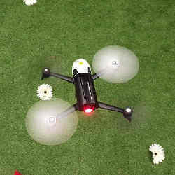 An aerial drone flying over grass and flowers. 