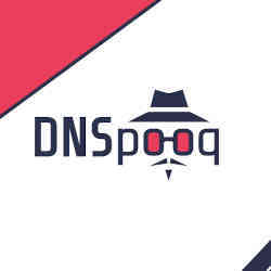 A DNSpooq logo.