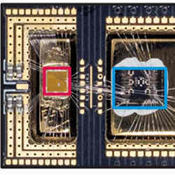 The Gooseberry chip (red) next to a qubit test chip (blue).