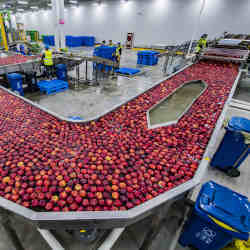 The Alibaba Digital Agriculture Concentrated Transportation Processing Center in Xian, China.