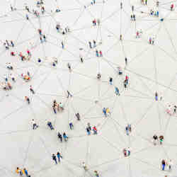 A network of people.