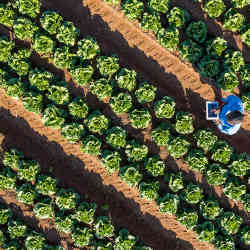 Aerial view of a smart farm.
