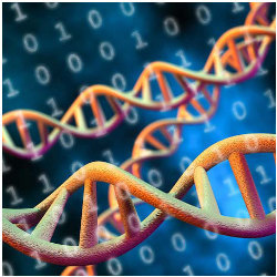 DNA helix and binary numbers, illustration