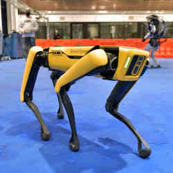 A robotic dog made by Boston Dynamics.