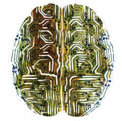 Artist's conception of a brain on a chip.