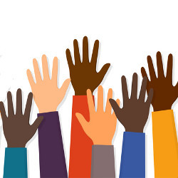 raised hands of people with different skin colors, illustration