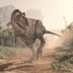 A T. rex out for a stroll.