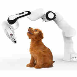 A dog and a cobot. 