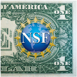 U.S. dollar with NSF logo