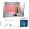 'Bat-Sense' Tech Generates Images From Sound