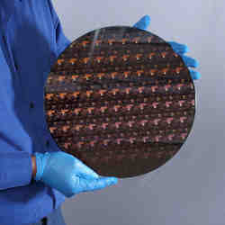 A silicon wafer containing chips made with IBM's 2-nanometer transistor technology.