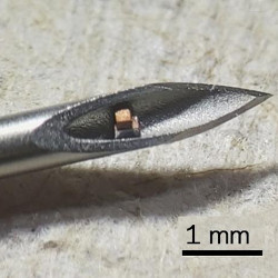 chips in the tip of a hypodermic needle