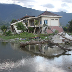 damage from tsunami-induced landslide