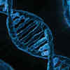 Novel Approach Identifies Genes Linked to Autism, Predicts Patient IQ