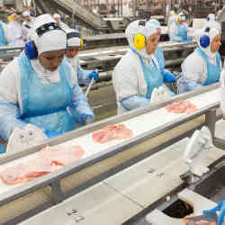 People work the production line of a JBS chicken processing plant in Brazil.