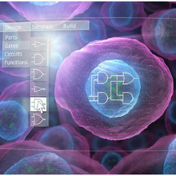 genetic circuit concept, illustration