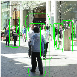 multi-object tracking of individuals