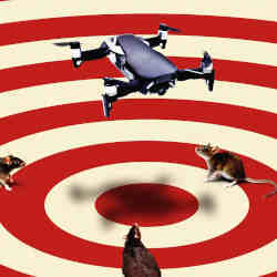 A drone targets rats.