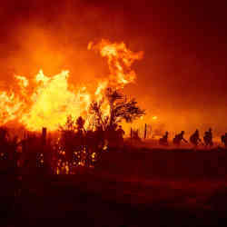 Firefighters battling the Sugar fire, part of the Beckwourth Complex fire, Californias largest fire so far this year.