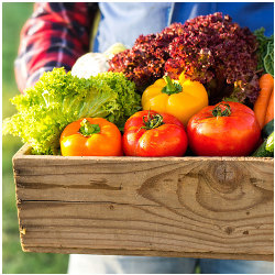 crate of vegetables