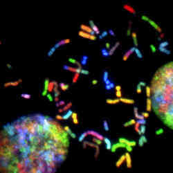 Whether it is how genes that switch on or off can lead to cancers, or votes can turn into complex voting patterns, complex networks are vital to understand, but computationally intense to study.