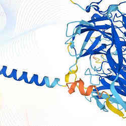 Protein structures to represent the data obtained via AlphaFold.