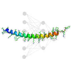 A peptide that can be attached to phosphorodiamidate morpholino oligomers to aid drug delivery.