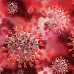 A representation of the coronavirus.