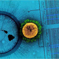 Identifying the lineage of a SARS-CoV-2 virus.