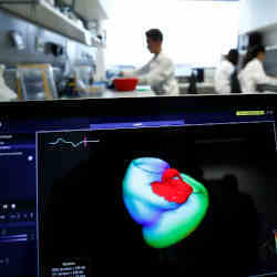 A three-dimensional image of a heart during a cardiology test.