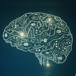 brain computing circuit, illustration