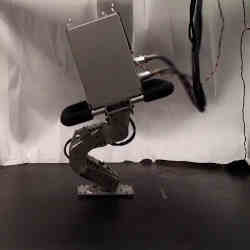 The TTI Hopper robot.