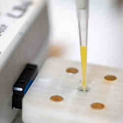 Researchers testing the glyphosate sensor on samples of orange juice that they spiked with the herbicide for the study.