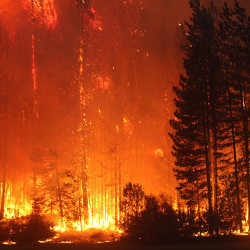 August 2020 wildfire near Forest Glen, Calif.