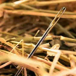 A needle in a haystack.