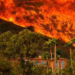 A wildfire burns on a hillside.