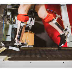 The ankle exoskeleton emulator. 