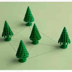 The Steiner tree problem: Connect a set of points with line segments of minimum total length.